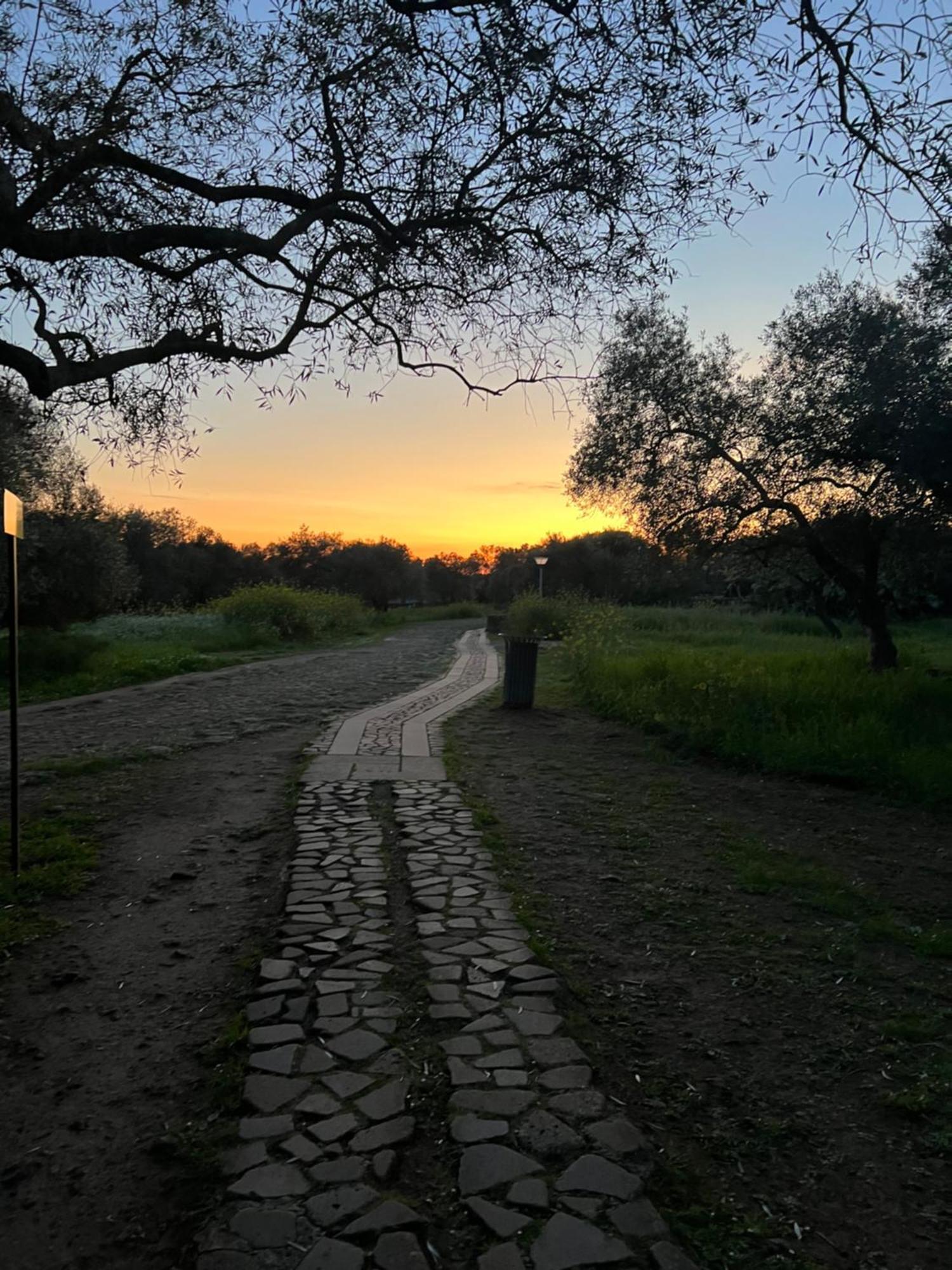 Muristene Pozzo Santa Cristina Paulilatino Экстерьер фото