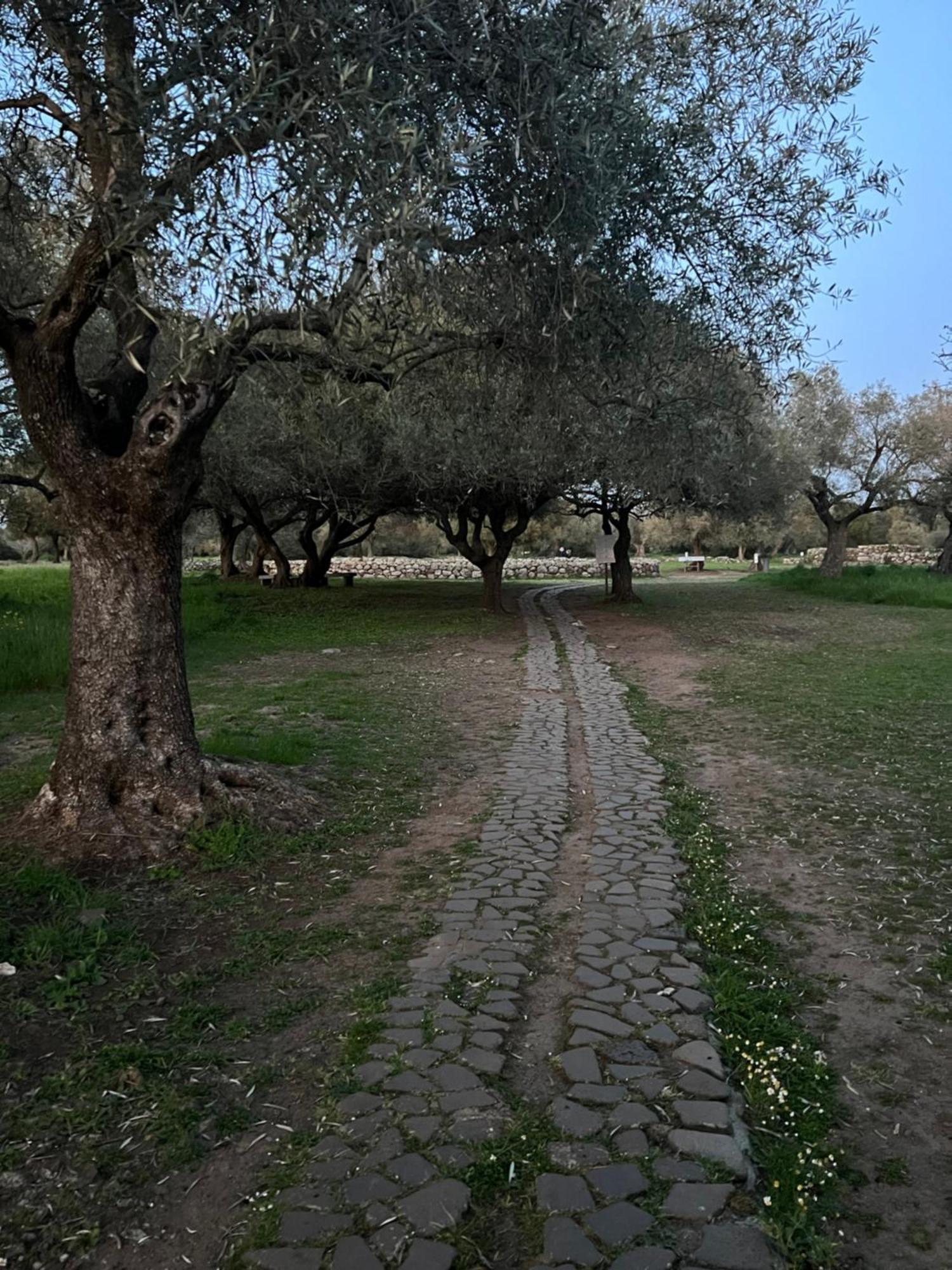 Muristene Pozzo Santa Cristina Paulilatino Экстерьер фото
