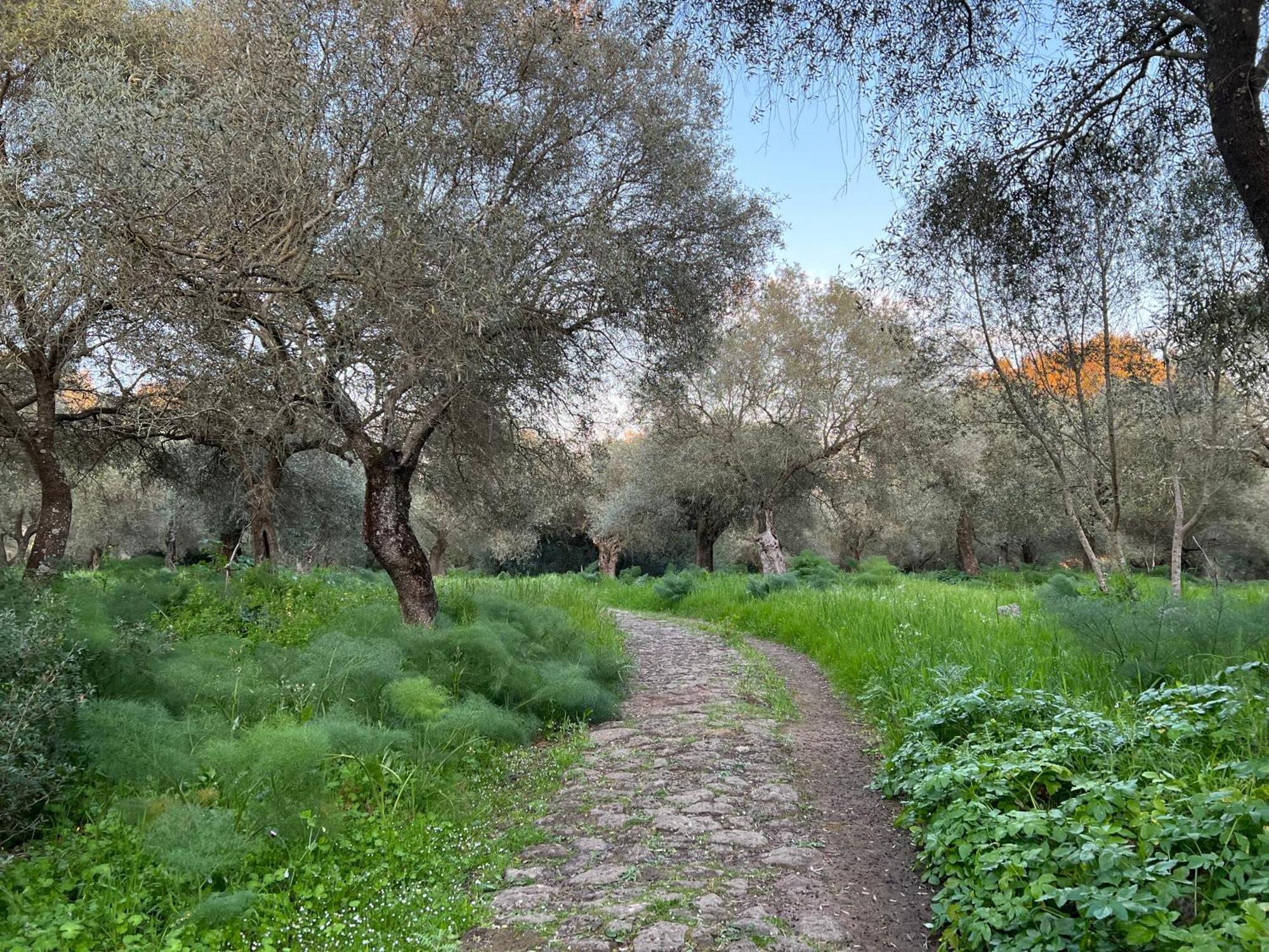 Muristene Pozzo Santa Cristina Paulilatino Экстерьер фото